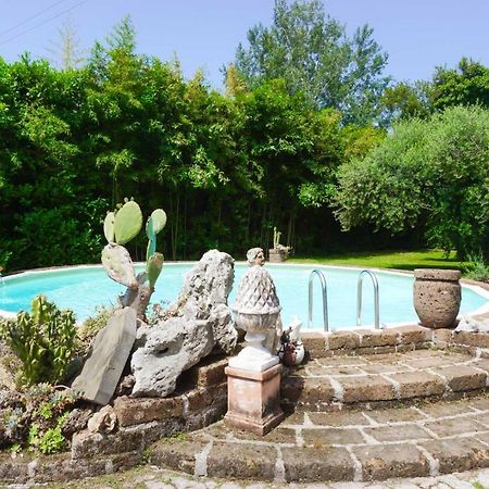 La Bouganville - Piscina E Relax Camaiore Kültér fotó
