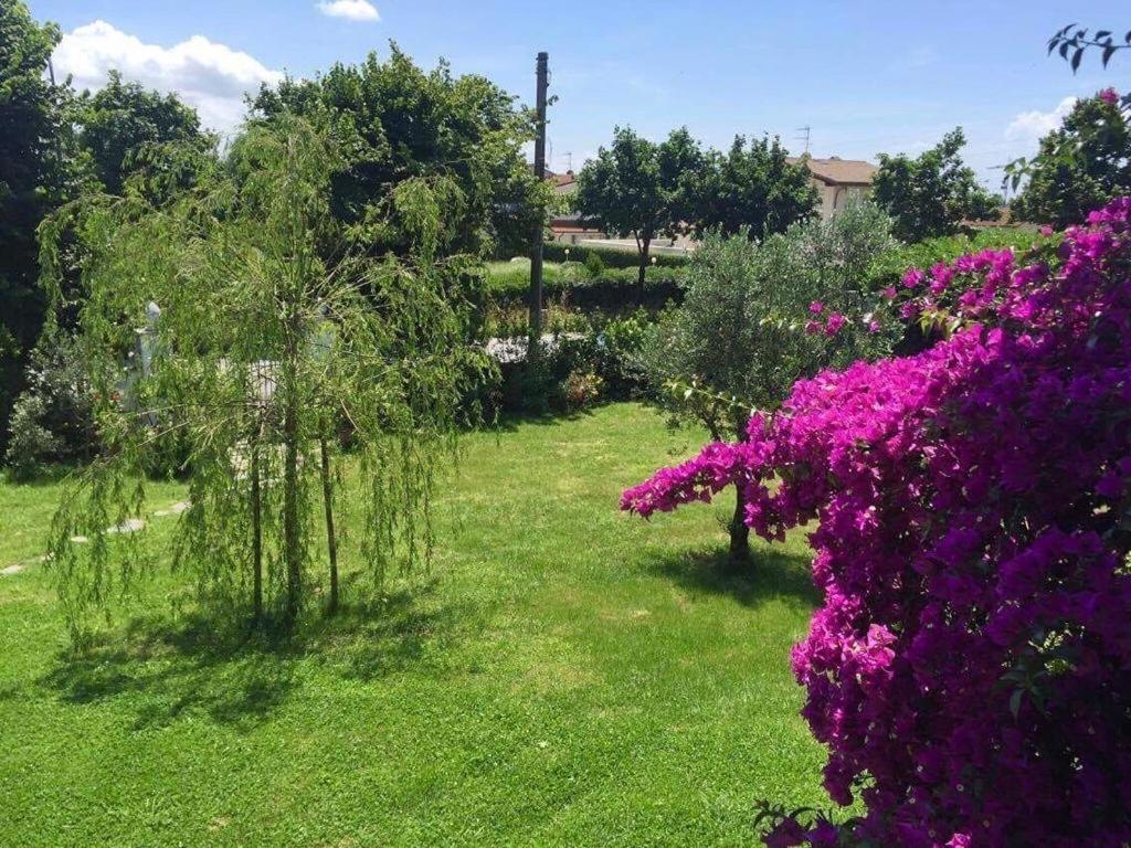 La Bouganville - Piscina E Relax Camaiore Kültér fotó